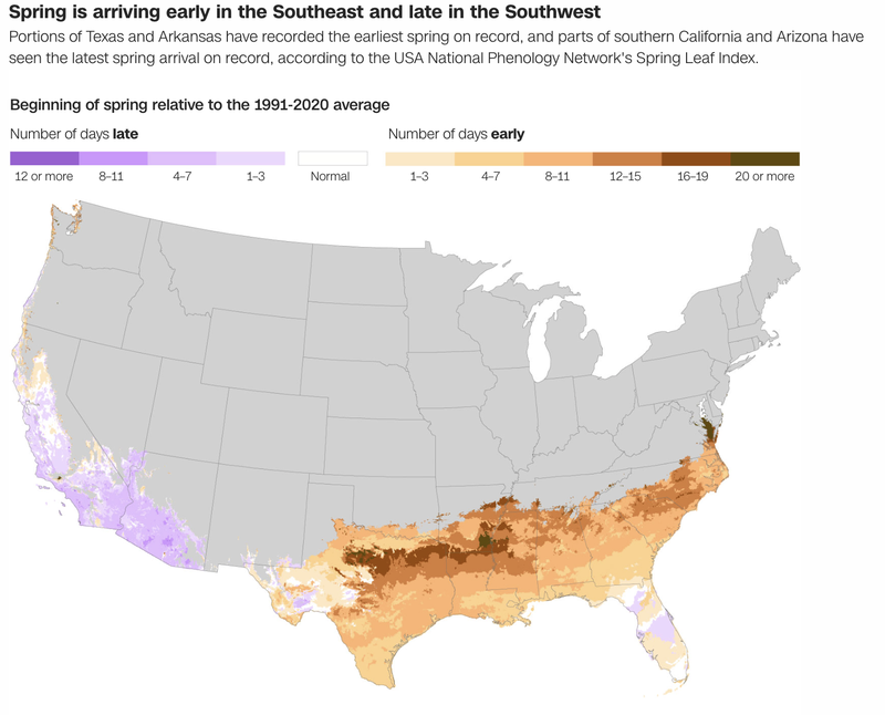 A map of the US titled "Spring is arriving early in the Southeast and late in the Southwest." Regions of the map are shaded in light to dark purple to indicate lateness or orange to brown to indicate earliness of spring, relative to the 1991-2020 average.